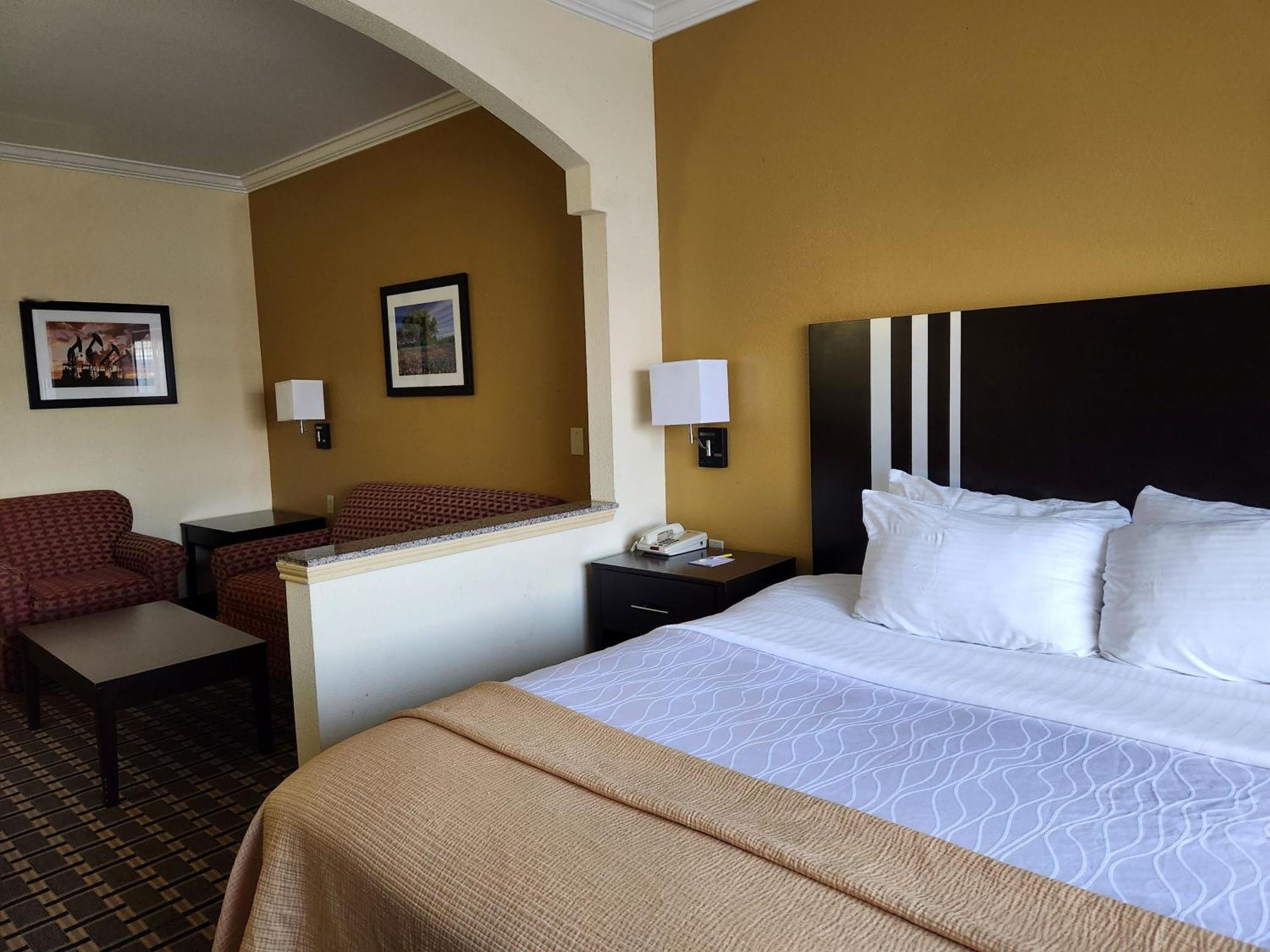 Best Western Plus Sam Inn&suites Houston